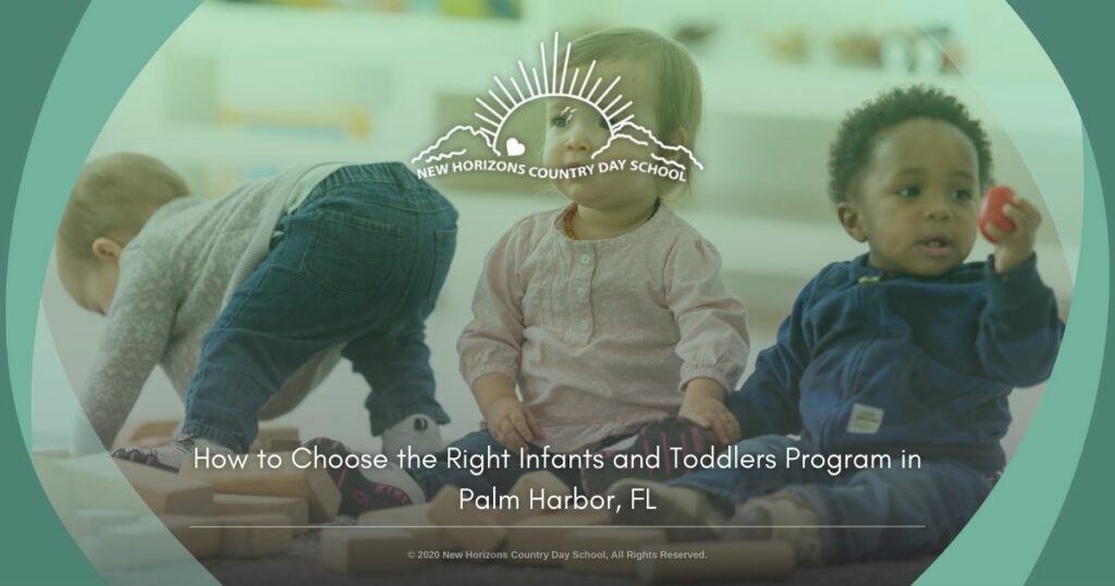 Palm Harbor infants and toddlers program