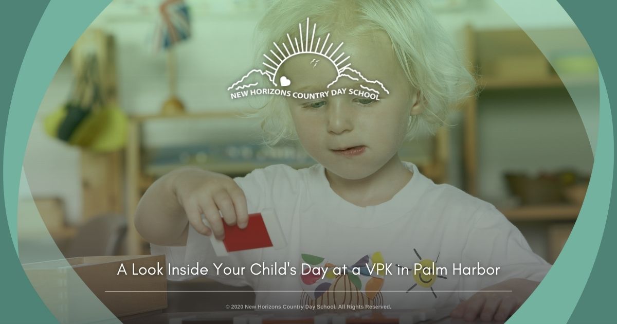 A Look Inside Your Child's Day at a VPK in Palm Harbor
