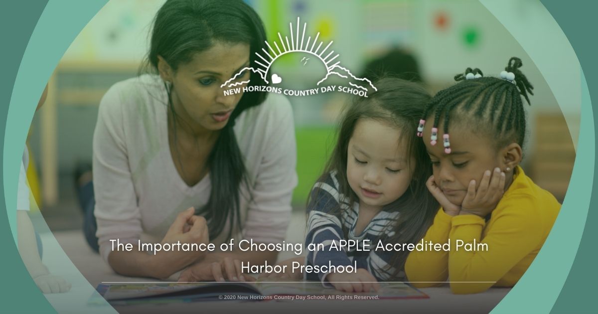 APPLE accredited preschool in Palm Harbor