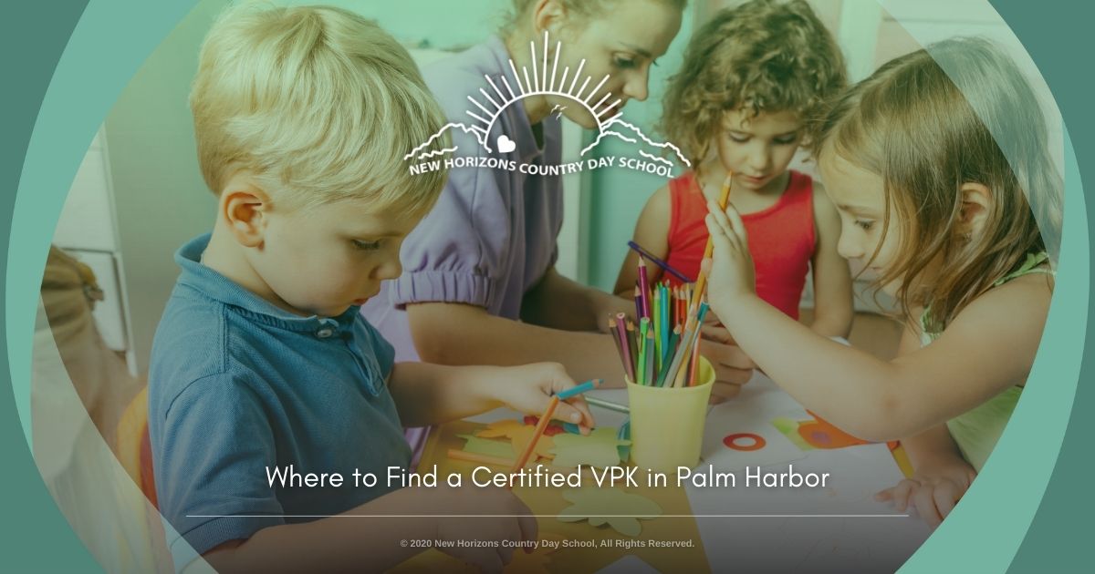 certified VPK in Palm Harbor