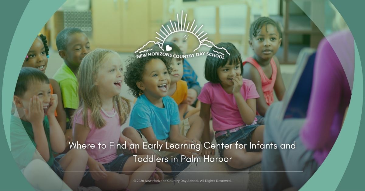 early learning in Palm Harbor