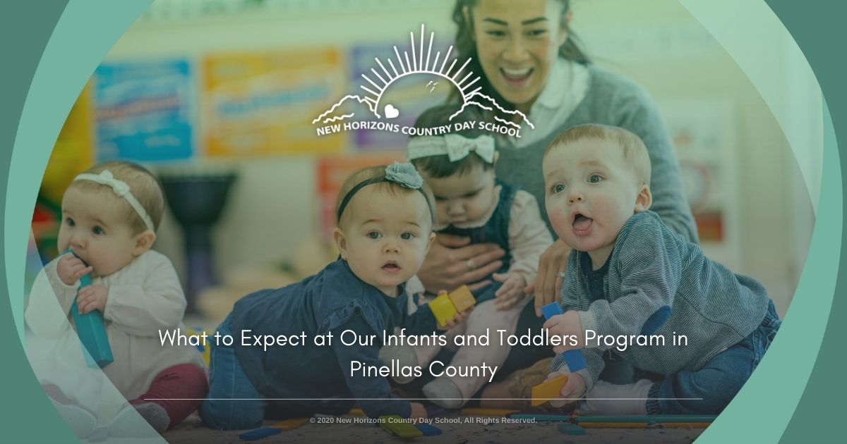 infants and toddlers program in Pinellas County